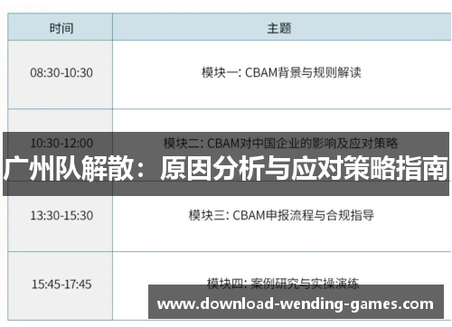 广州队解散：原因分析与应对策略指南