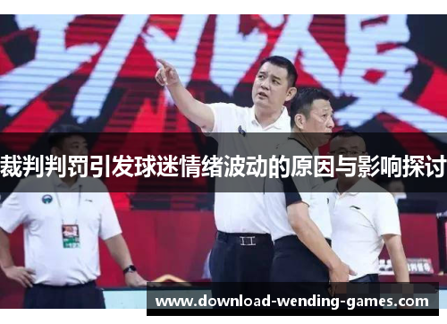 裁判判罚引发球迷情绪波动的原因与影响探讨