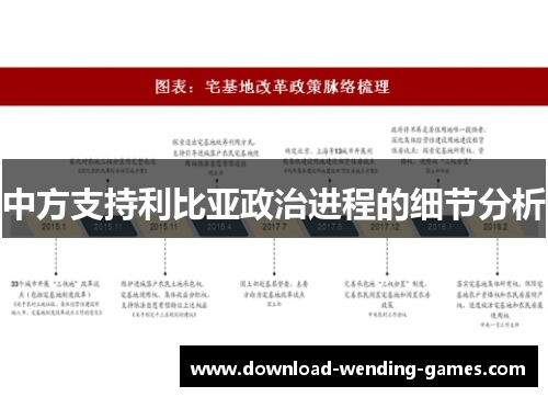 中方支持利比亚政治进程的细节分析