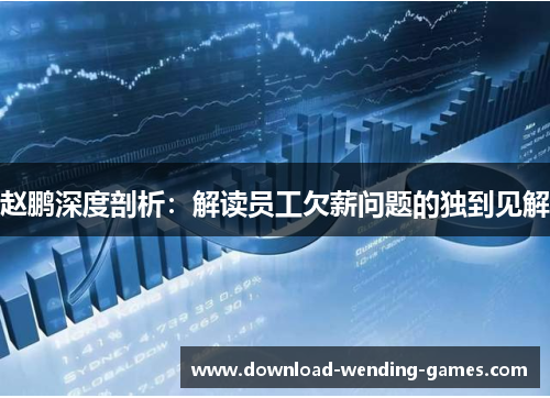赵鹏深度剖析：解读员工欠薪问题的独到见解