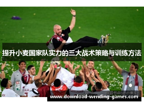 提升小麦国家队实力的三大战术策略与训练方法
